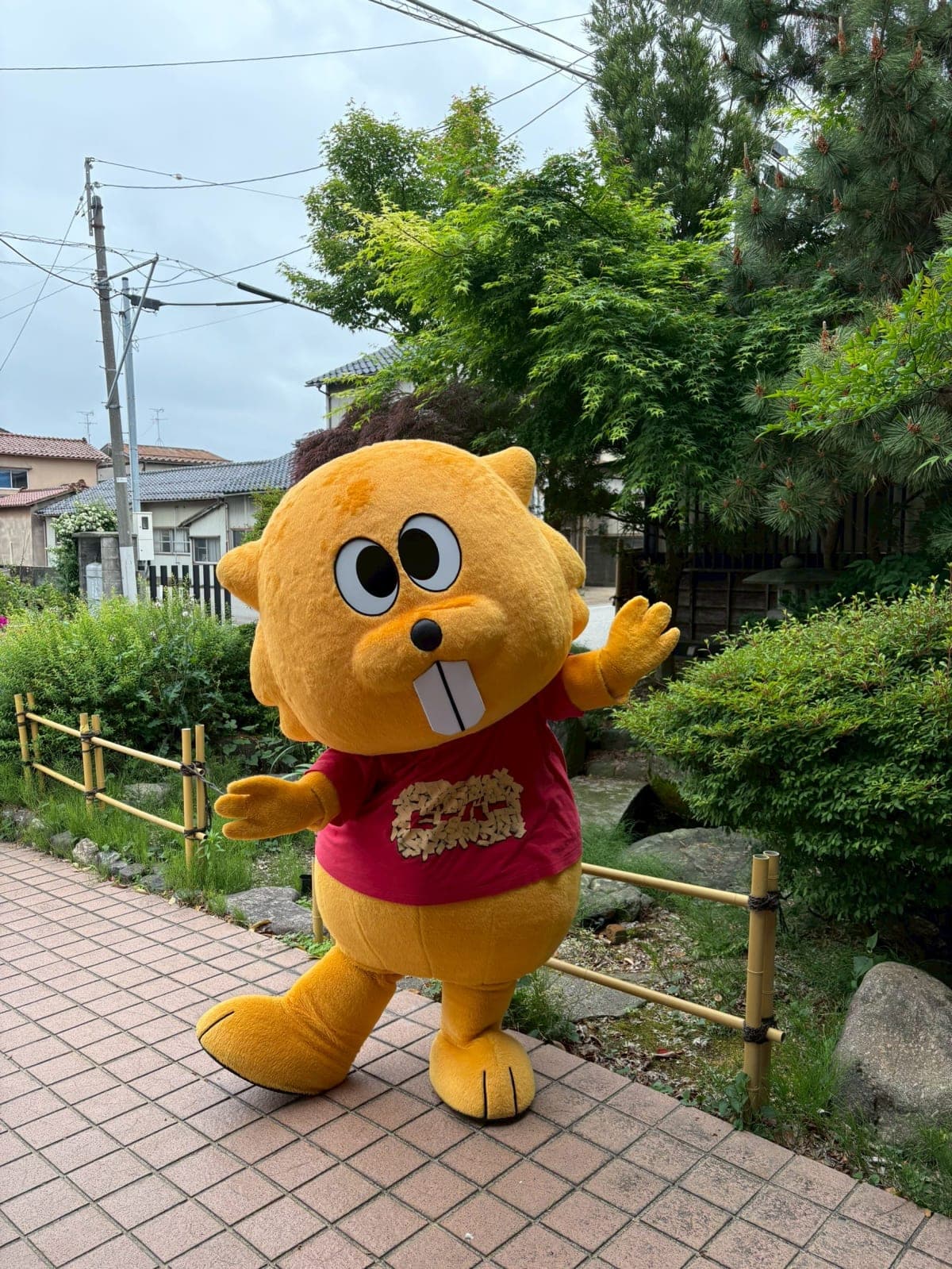 まさかの出会い